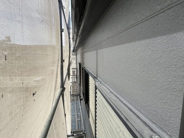 S__110215187_0_コピー