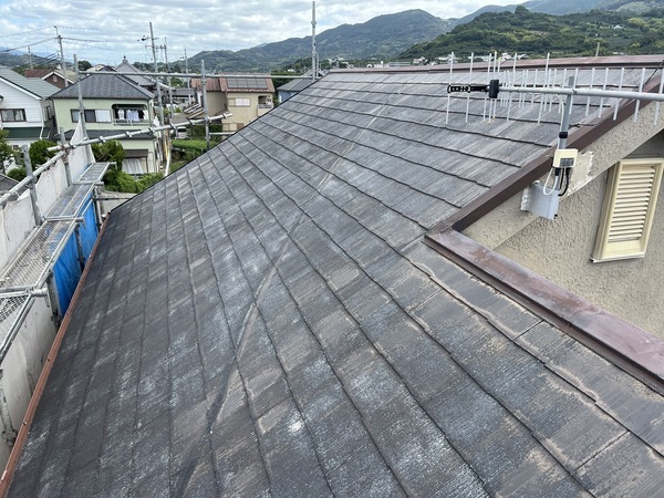 S__112369671_0_コピー