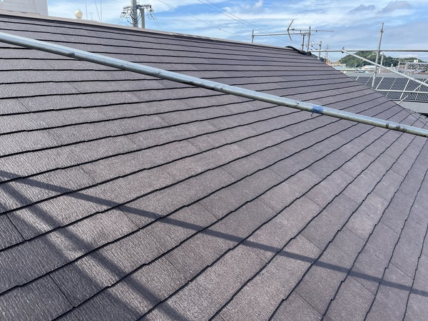 S__112517126_0_コピー