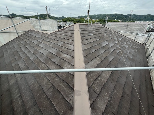 S__112795661_0_コピー