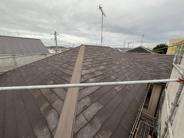 S__112795659_0_コピー