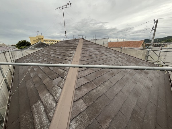 S__112795660_0_コピー