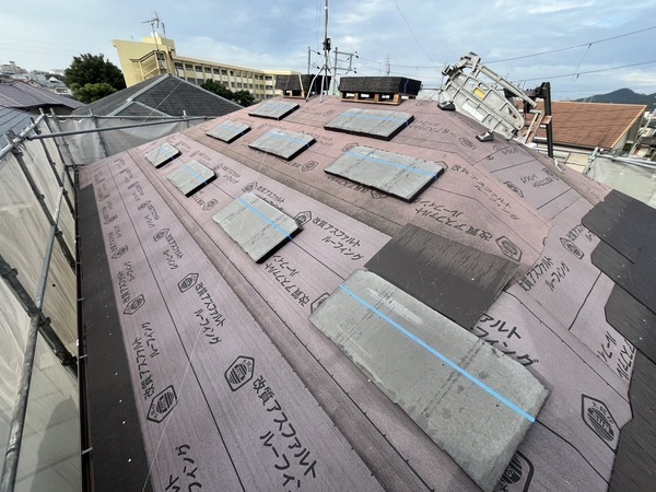 S__56500269_0_コピー