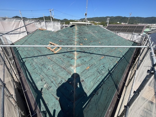 S__56459285_0_コピー