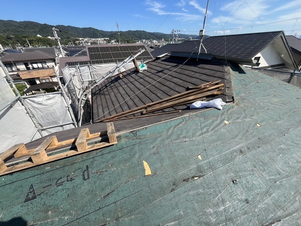 S__56459287_0_コピー