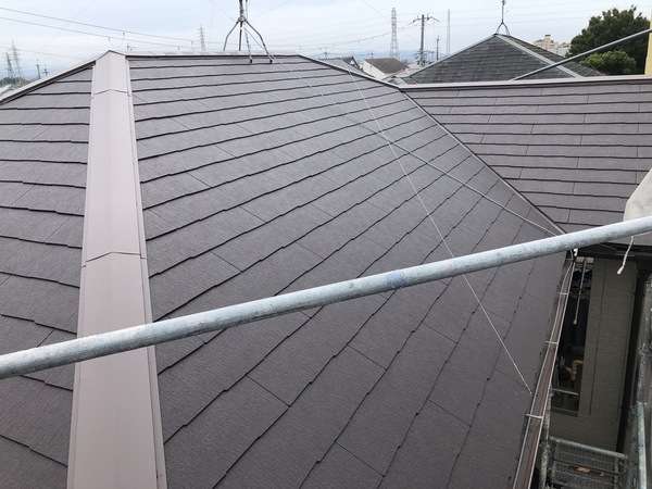 882933F6-DFB6-480A-82A9-B0E43A7B7A34_コピー