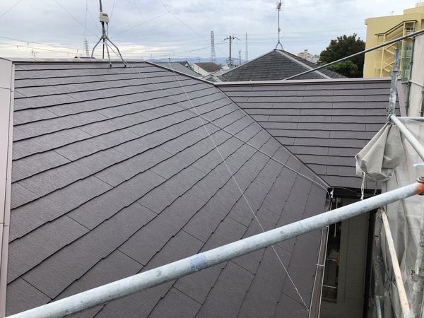 C6139DF9-44DA-46CC-8C98-59CD940EB20B_コピー