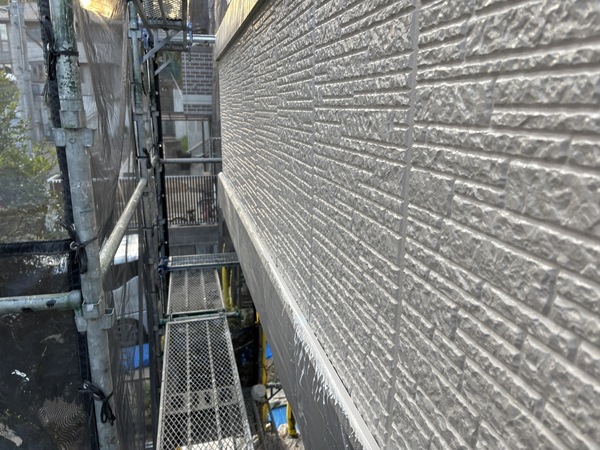 S__113565732_0_コピー