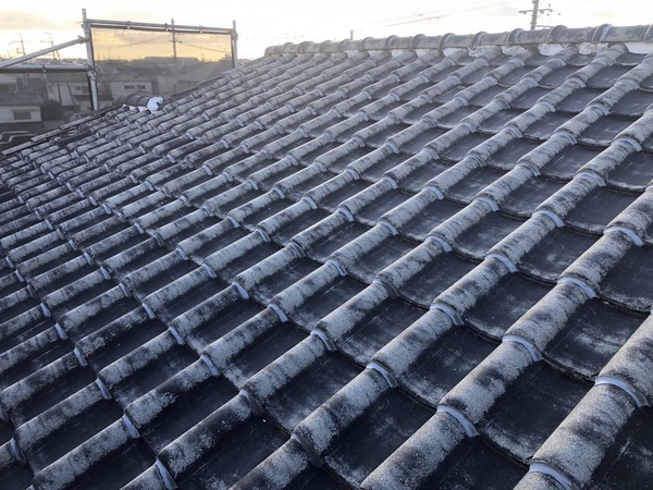 S__137723966_0_コピー