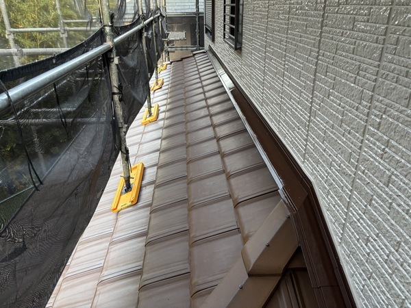 S__113729632_0_コピー