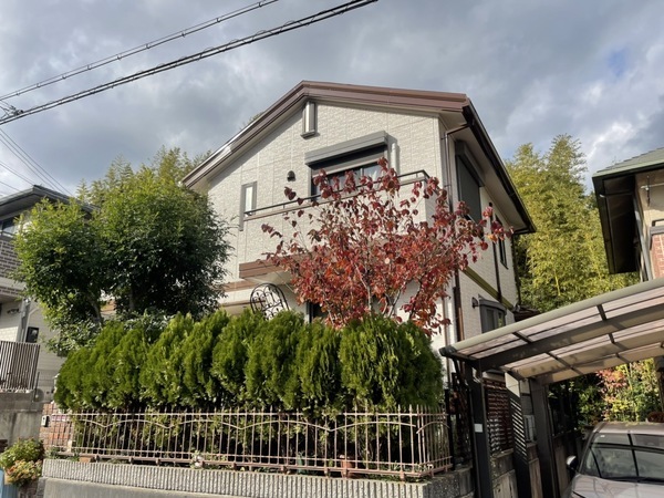 S__236044291_0_コピー