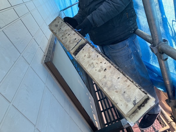 S__3571730_0_コピー