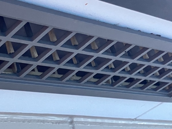 S__3571723_0_コピー