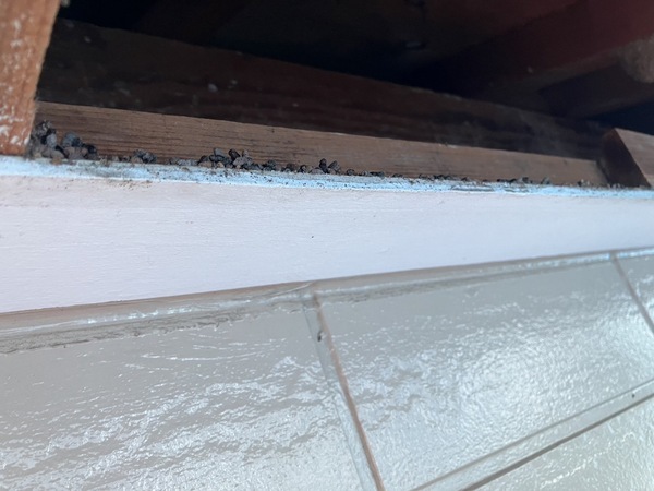 S__3571733_0_コピー