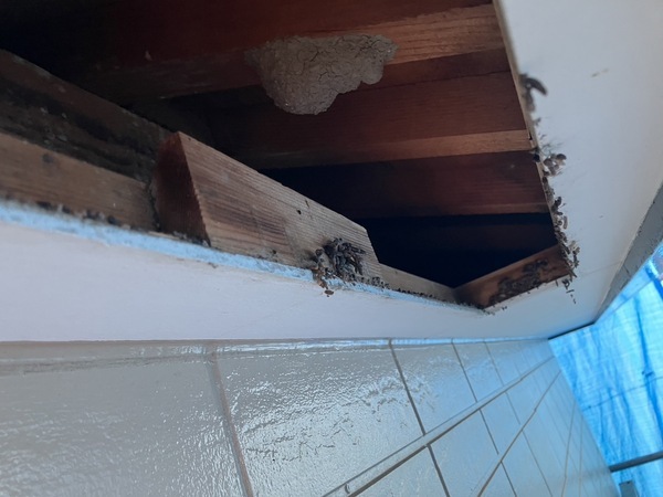 S__3571734_0_コピー