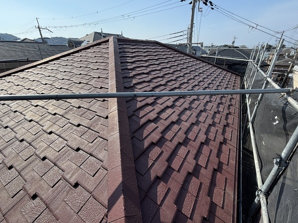 S__114024507_0_コピー