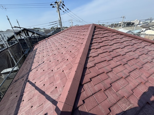 S__114024509_0_コピー