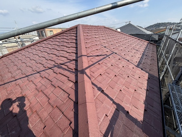 S__114024510_0_コピー