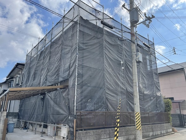 S__240943113_0_コピー