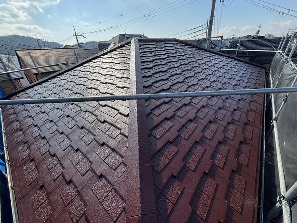 S__114114588_0_コピー