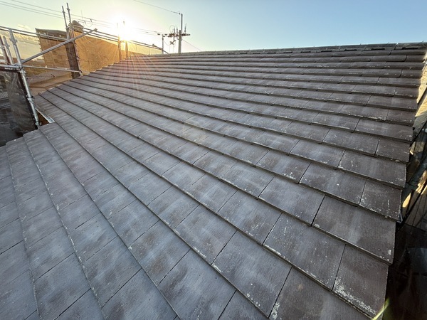 S__114171965_0_コピー