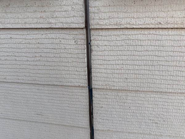 S__60833815_0_コピー