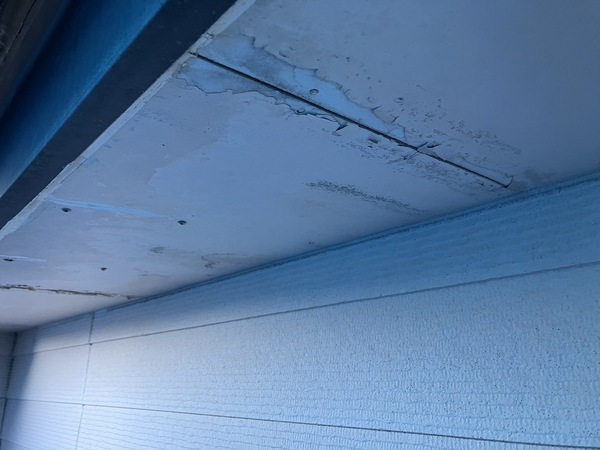 S__3866652_0_コピー