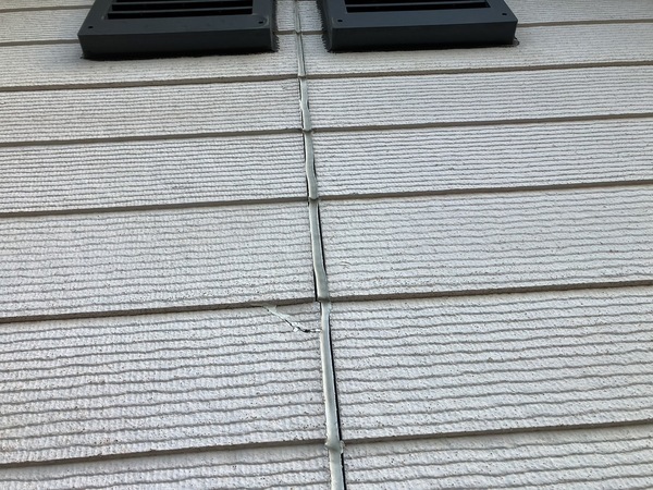 S__3866649_0_コピー