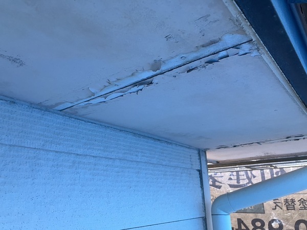 S__3866646_0_コピー