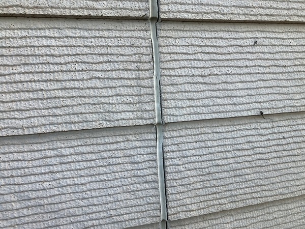 S__3866648_0_コピー