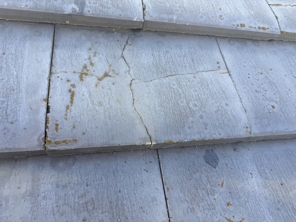 S__60833806_コピー