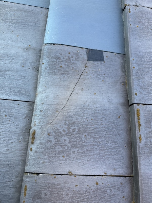 S__60833807_コピー