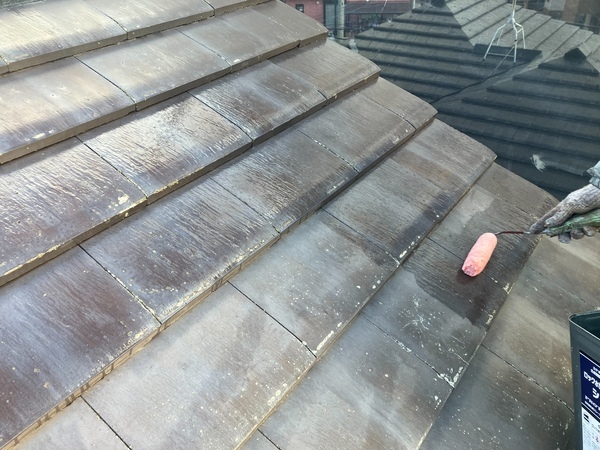 S__3907598_0_コピー