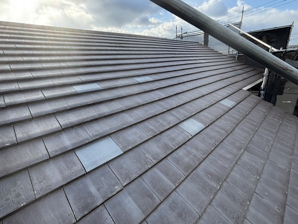 S__114196490_0_コピー