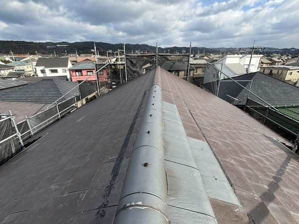 S__114196487_0_コピー