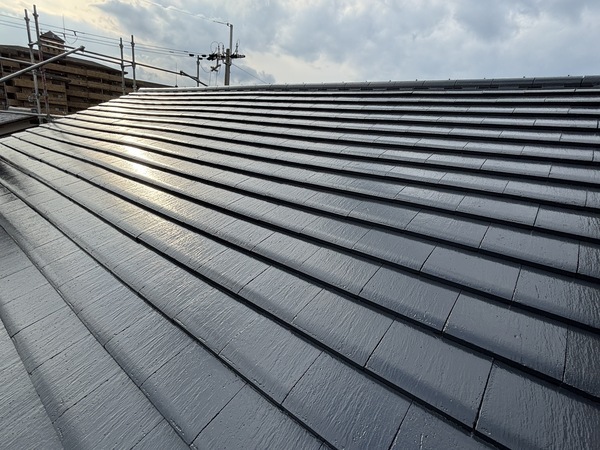 S__114253842_0_コピー