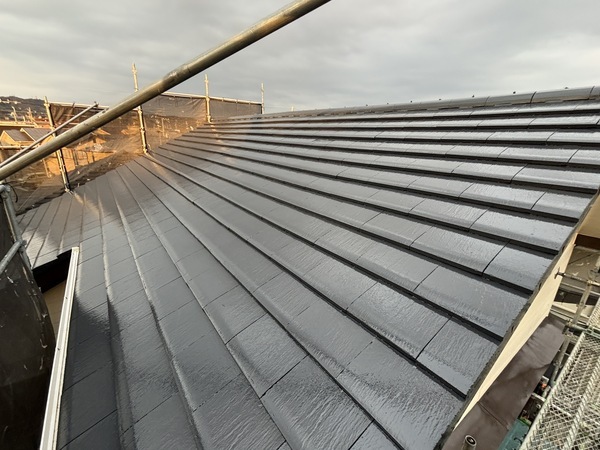 S__114253852_0_コピー