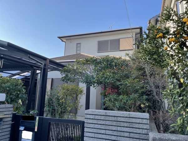 S__245858317_new_コピー