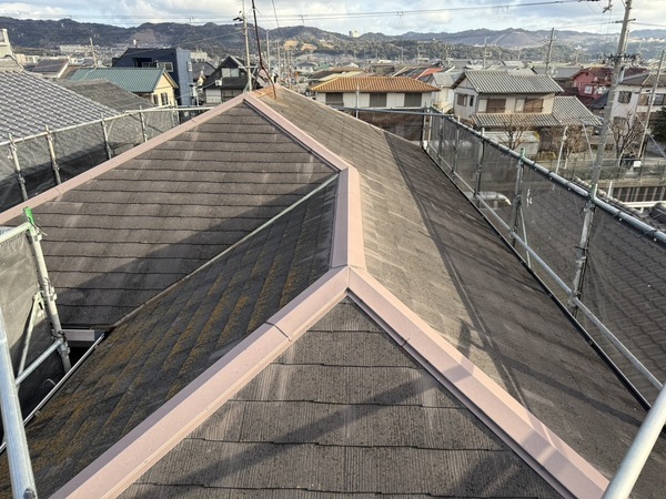 S__61775879_0_コピー