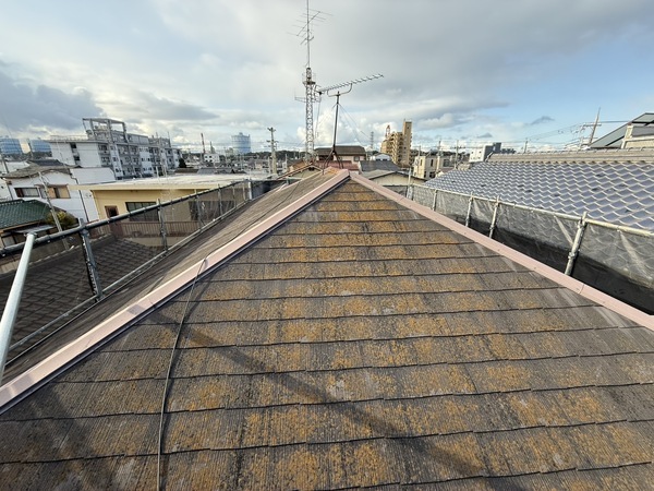 S__61775884_0_コピー