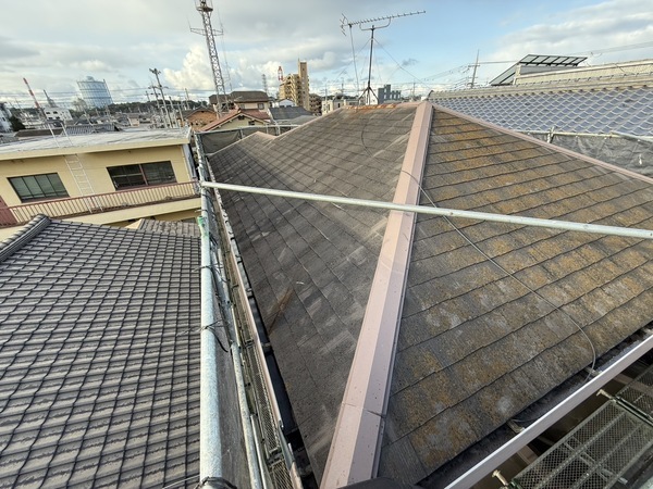 S__61775885_0_コピー