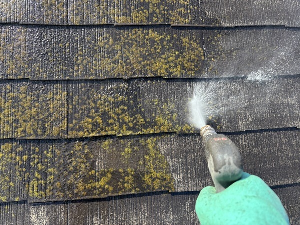 S__114483247_0_コピー