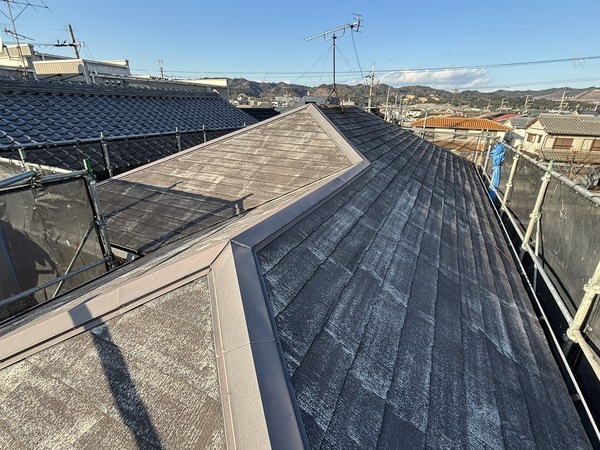 S__114483259_0_コピー