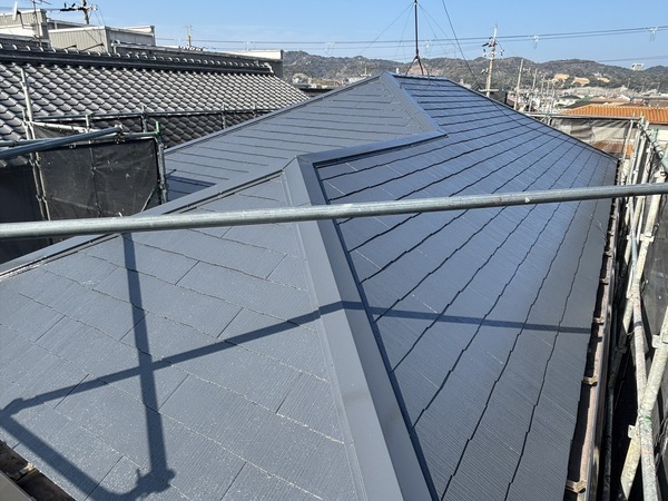 S__114565124_0_コピー