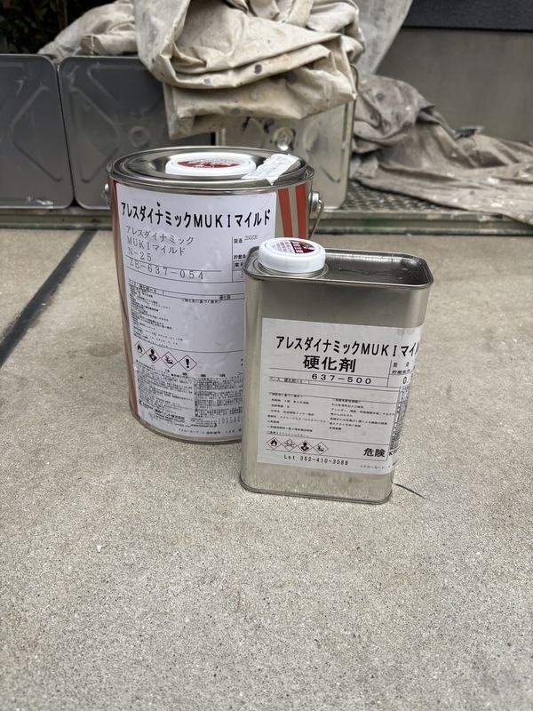 S__114548782_0_コピー