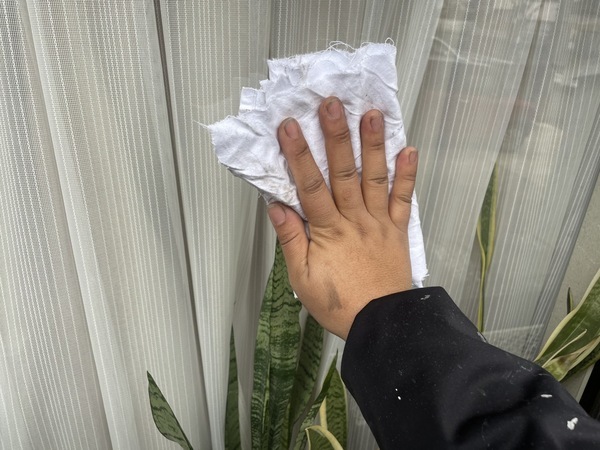 S__29188113_0_コピー