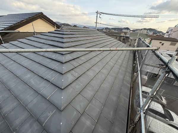 S__114647061_0_コピー