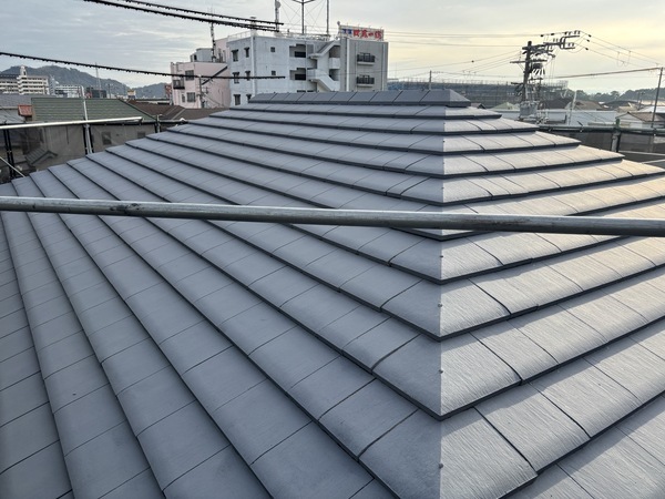 S__114720781_0_コピー