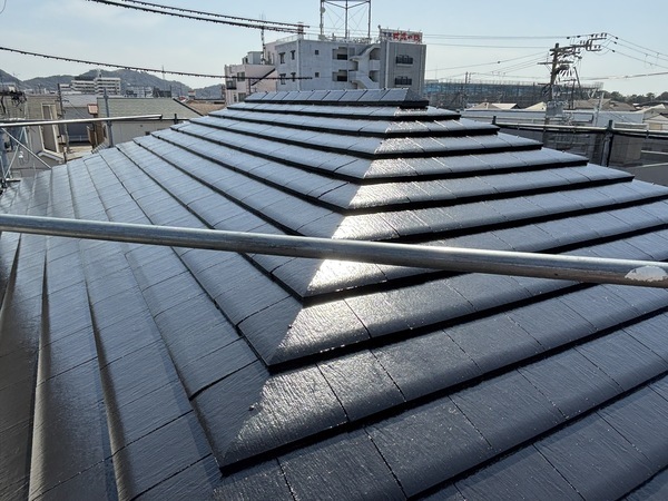 S__114786383_0_コピー