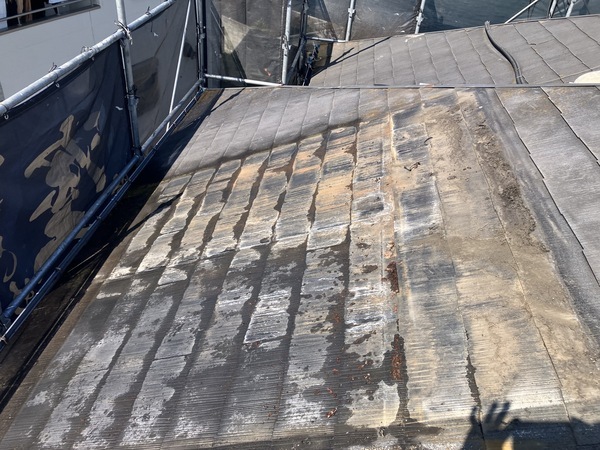 AA732C55-5DB9-4375-A4AF-CCE77DA1E49C_コピー